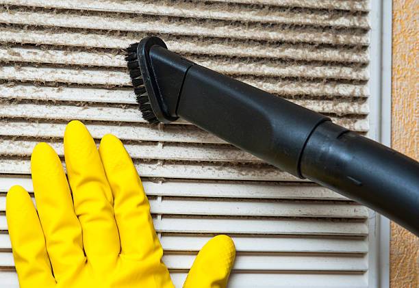 Best Air Duct Mold Removal  in Hope, IN